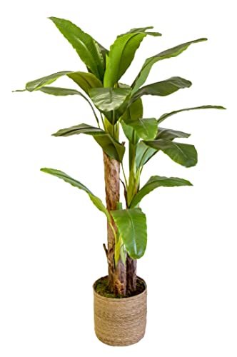 Maia Shop Banana Artificiale, Realizzata con i Migliori Materiali, Ideale per la Decorazione Domestica, pianta Artificiale (180 cm)