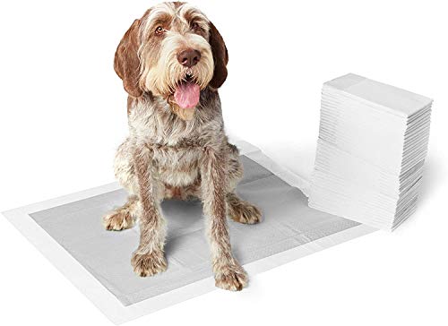 Amazon Basics - Tappetini igienici con carbone attivo per l'addestramento di cagnolini e altri animali domestici, misura extra-large, 50 pezzi