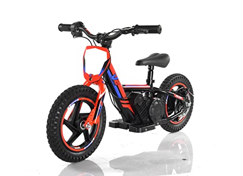 V2 E-BIKE - Balance Bike Elettrica - Minimoto Elettrica - 24 V 200 W 3 velocità
