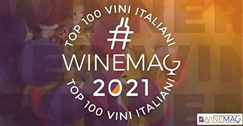 Top 100 migliori vini italiani 2021 WineMag.it: Convenzionali, naturali, biologici, biodinamici e senza solfiti: la classifica senza bandiera nÃ© razza (WineMag Editore Vol. 2)