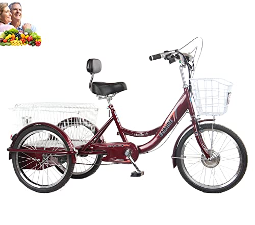 Triciclo adulto tre ruote bicicletta 20 '' elettrico power assist triciclo per i genitori 3 ruote bici 48V20AH Batteria al litio 250 W motore con carrello Carico massimo 200 kg