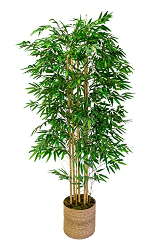 Bambù artificiale di canne naturali, ideale per la decorazione domestica, albero artificiale, pianta artificiale (180 cm)