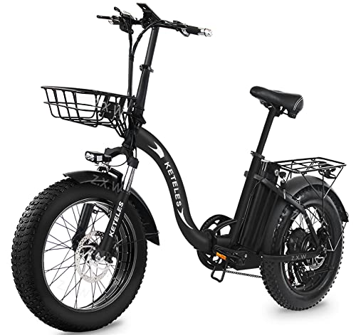 Bicicletta Elettrica Pieghevole 20' E-Bike, Fat Bike elettrica con 48V 15AH Batteria Rimovibile, 250W Motor, Bici Elettriche da Montagna da Città, per Unisex Adulto Uomo e Donna